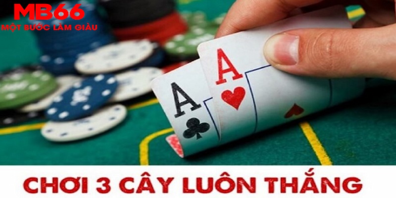 king88vin SA Trực Tuyến