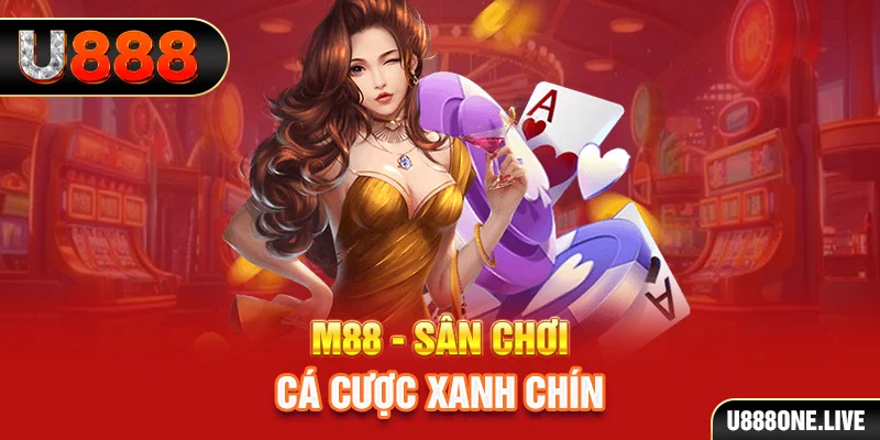 king88vin gà chọi cậu thanh