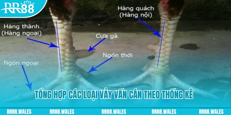 king88vin nổ hũ chơi như thế nào