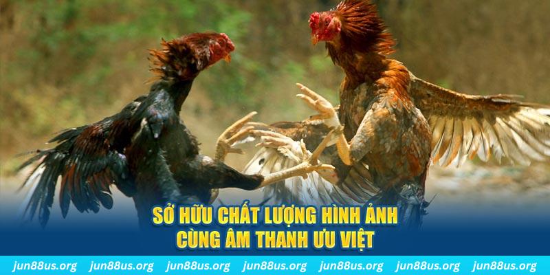 king88vin tai game danh bai ve may tinh