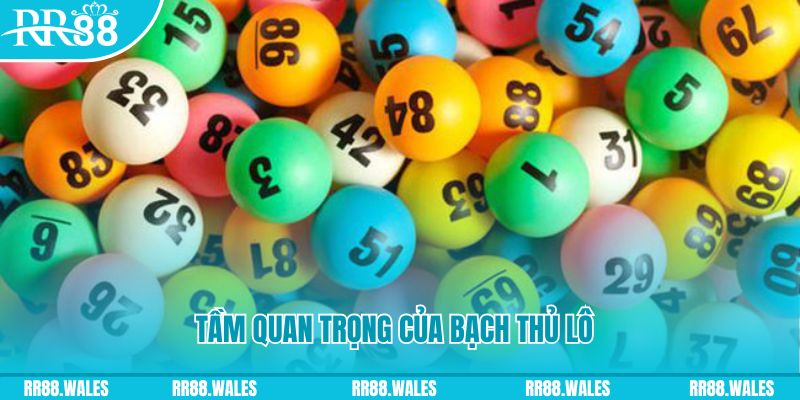 king88vin đá gà trực tiếp casino