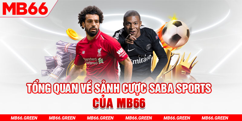 king88vin slot có nghĩa là gì