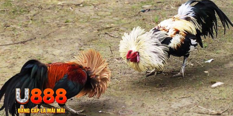 game nổ hũ là gì